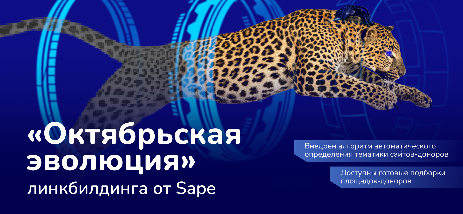 Как получить больше тематических ссылок и продвинуть сайт в топ поисковой выдачи