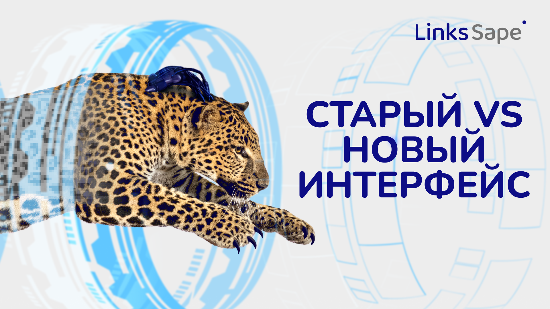 Старый vs Новый интерфейс LinksSape